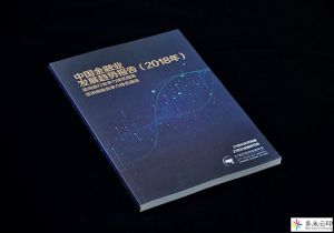 中國(guó)金融業(yè)發(fā)展趨勢(shì)報(bào)告畫(huà)冊(cè)設(shè)計(jì)印刷